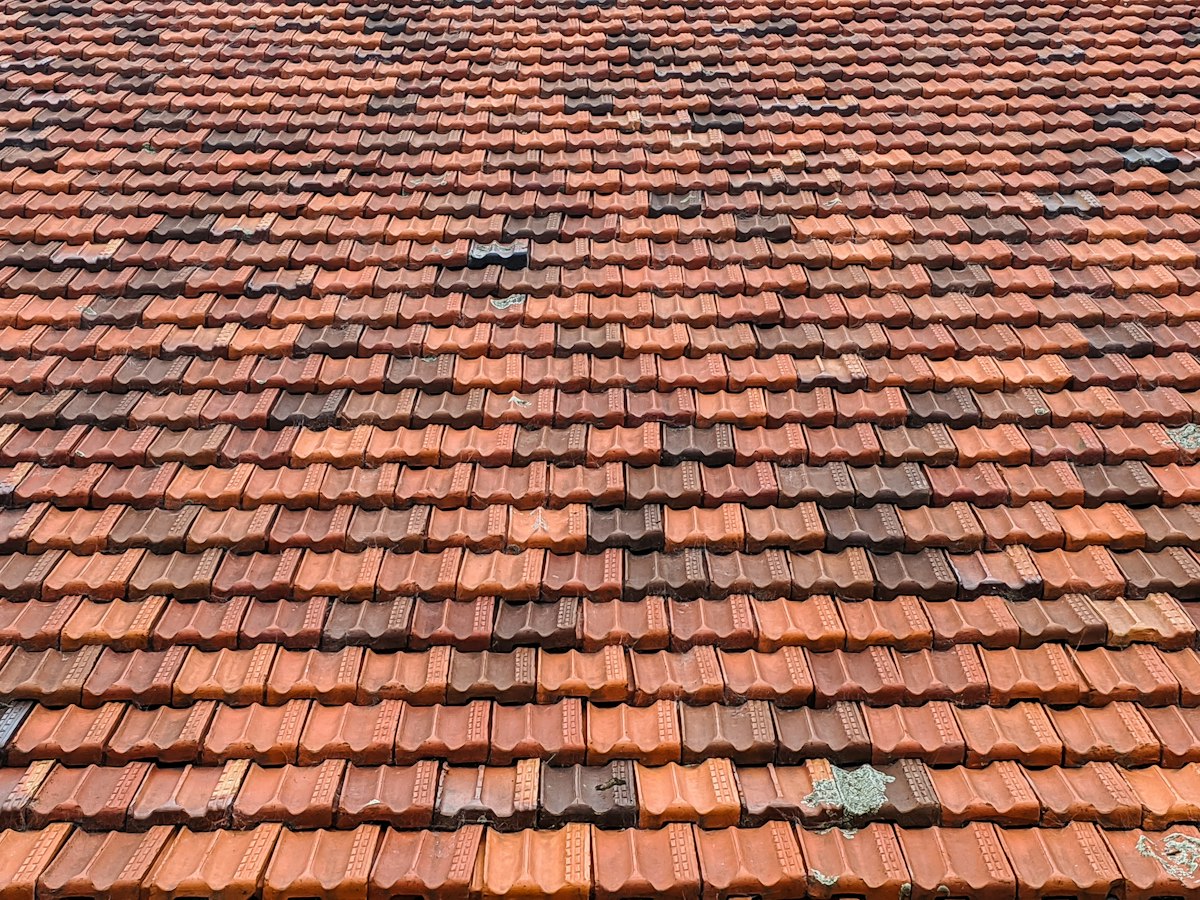 Réfection toiture tuiles écailles à Versailles